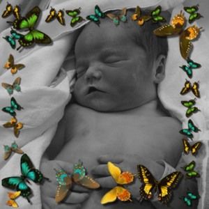 Meet your Posher, Rebecca grace